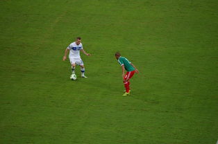 米兰全站APP下载-国乒奖金出炉，王艺迪喜提28万成大赢家！陈幸同仅获3万，奖金分配引热议